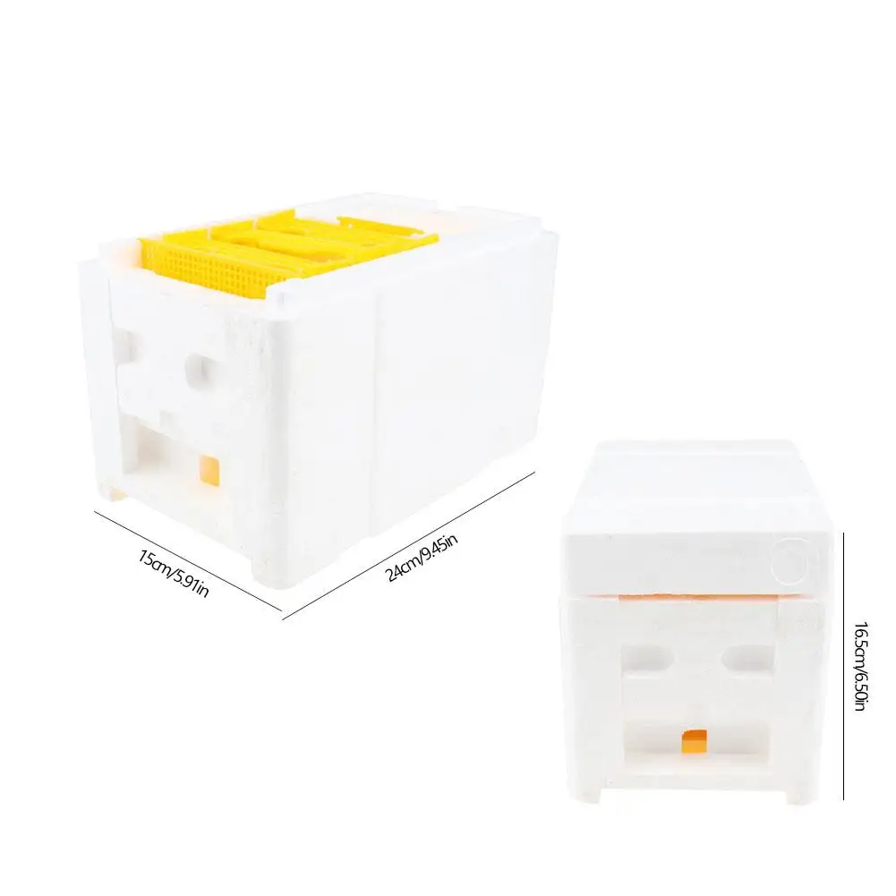 Beekeeping Queen Breeding Rearing Box Mini Mating Hive DIY Beekeeping Container For Beekeeper Beekeeping Tools Garden Supplies
Beekeeping Queen Breeding Rearing Box Mini Mating Hive DIY Beekeeping Container For Beekeeper Beekeeping Tools Garden Supplies