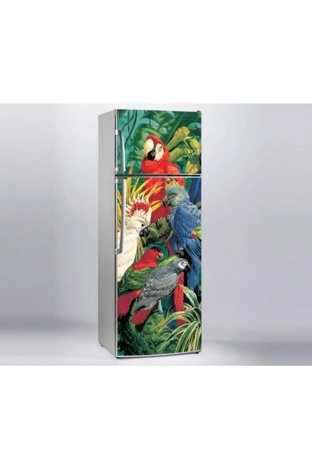 Refrigerator Sticker Parrots