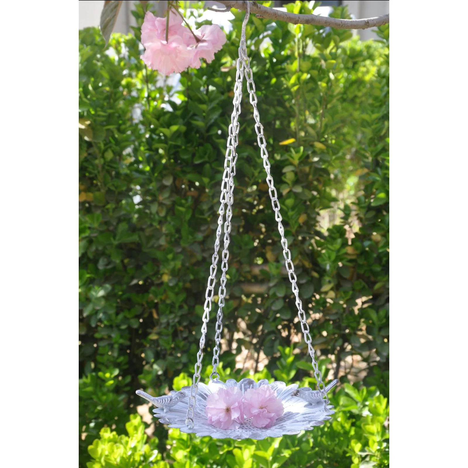 Versatile Iron Bird Feeder Tray Outside Hanging for Garden, Easy to Use and Clean (Silver)
Versatile Iron Bird Feeder Tray Outside Hanging for Garden, Easy to Use and Clean (Silver)