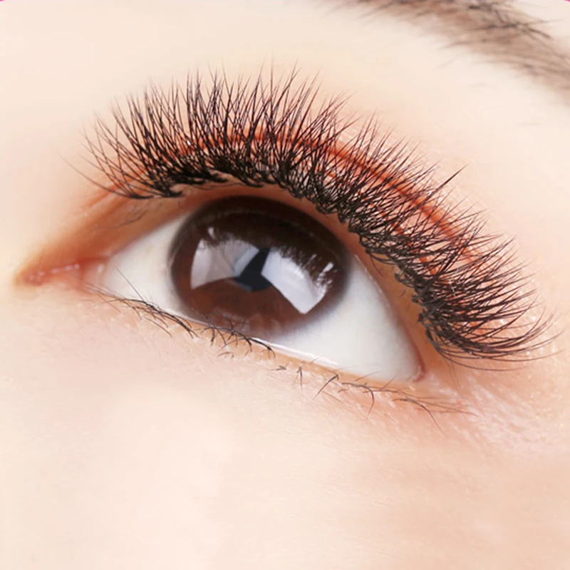 Long Stem Premade Volume Fans 5d Lash Russian Volume Eyelash Extensions soft nature Lash Extension Faux Mink cilia 
Long Stem Premade Volume Fans 5d Lash Russian Volume Eyelash Extensions soft nature Lash Extension Faux Mink cilia