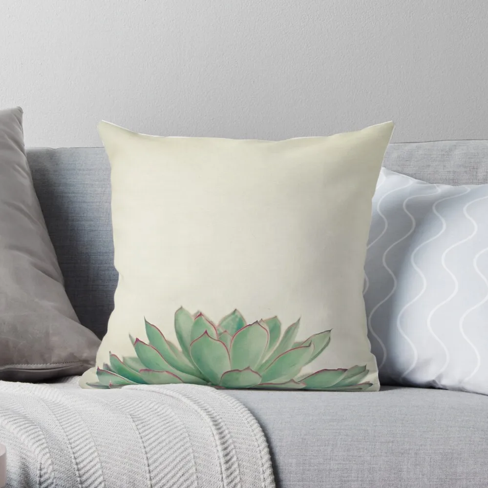 Echeveria Throw Pillow Pillowcase Cushion Cover Home Decorative Sofa Pillow Cover Cushion Cover 40x40cm 45x45cm
Echeveria Throw Pillow Pillowcase Cushion Cover Home Decorative Sofa Pillow Cover Cushion Cover 40x40cm 45x45cm