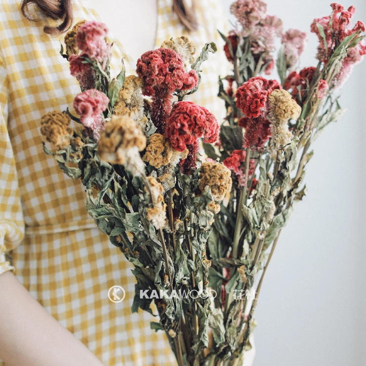 Vintage American Natural Dried Flowers Dried Flowers Flower Arrangement with Photo Photography Model Room Home Ornamental
Vintage American Natural Dried Flowers Dried Flowers Flower Arrangement with Photo Photography Model Room Home Ornamental