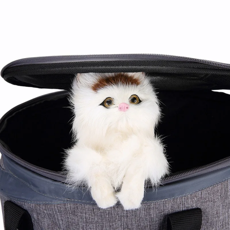 Cat bag Cat Carriers & Bags Pet Out Multi-function Foldable Travel Bag Cat Travel Outdoor Shoulder Bag For Small Dogs Cats
Cat bag Cat Carriers & Bags Pet Out Multi-function Foldable Travel Bag Cat Travel Outdoor Shoulder Bag For Small Dogs Cats