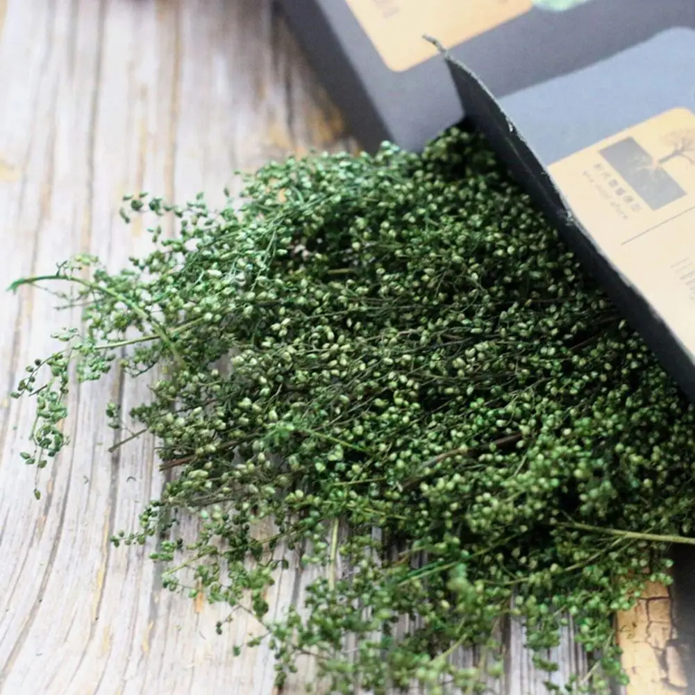 Bushes, Scene Model Trees, Floor Materials, Quinoa, Dry Branches
Bushes, Scene Model Trees, Floor Materials, Quinoa, Dry Branches