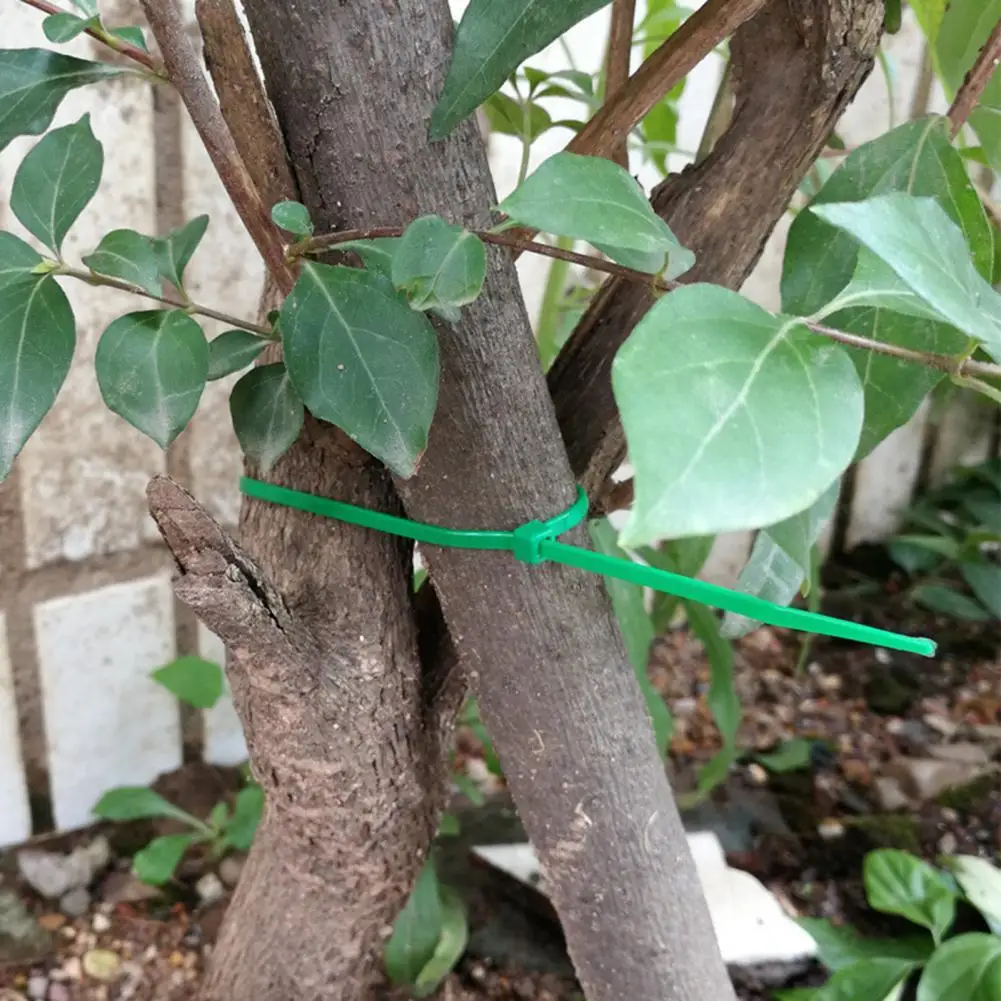 50Pcs Twist Ties Adjustable Self-locking Plastic Garden Flower Wires Set for Plants Greenhouses Vegetable Garden Wholesale
50Pcs Twist Ties Adjustable Self-locking Plastic Garden Flower Wires Set for Plants Greenhouses Vegetable Garden Wholesale