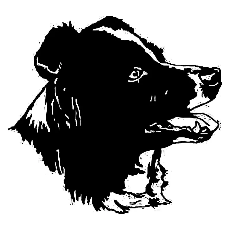 Забавная и стильная наклейка на автомобиль Border Collie, ПВХ стикер на машину с собакой, подходит для различных моделей, черного/белого цвета, 15 х...
Забавная и стильная наклейка на автомобиль Border Collie, ПВХ стикер на машину с собакой, подходит для различных моделей, черного/белого цвета, 15 х...