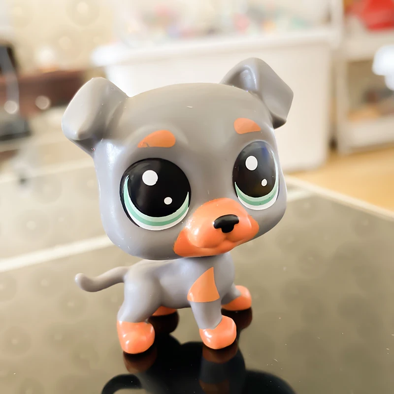 

Lps Dogs Pet Shop Collection Figure Collie Grey Dog Squirrel Animals Toys For Children Christmas Kid Gifts Y21110903