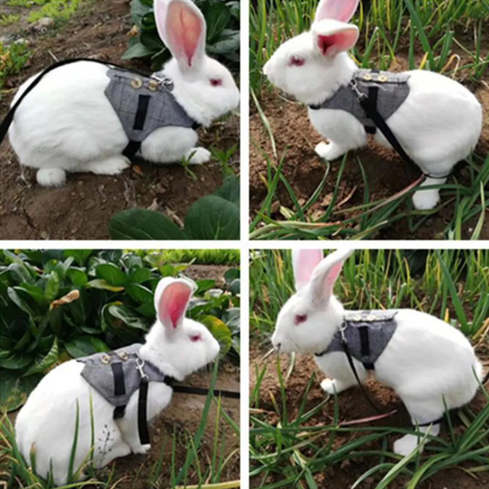 Ремни для кроликов и хомяка сетчатые шлейки с Leas Bunny хорька морской свинки мелких