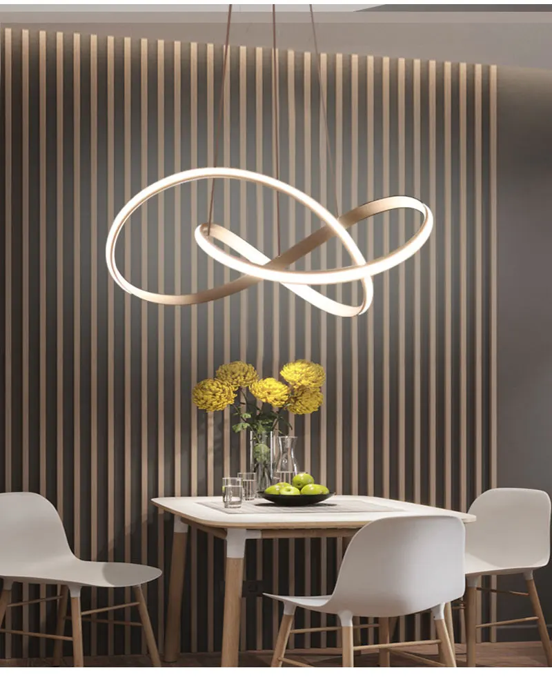Minimalist Nordic Modern Pendant Light Indoor Living Room Dining Loft Home Circle Rings Acrylic Aluminum Body Decoration Fixture
Minimalist Nordic Modern Pendant Light Indoor Living Room Dining Loft Home Circle Rings Acrylic Aluminum Body Decoration Fixture