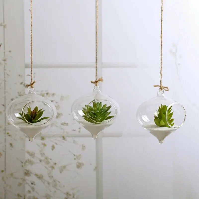 Terrarium Ball Globe Shape Clear Hanging Glass Vase Flower Plants Container Ornament Micro Landscape DIY Wedding Home Decor
Terrarium Ball Globe Shape Clear Hanging Glass Vase Flower Plants Container Ornament Micro Landscape DIY Wedding Home Decor