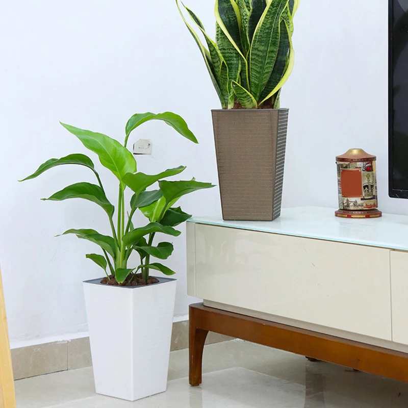 Potted Plants Office Flower Pot High-End Brick Pattern Imitation Metal Plastic Flower Pot Square And Tall Type For Gardening
Potted Plants Office Flower Pot High-End Brick Pattern Imitation Metal Plastic Flower Pot Square And Tall Type For Gardening