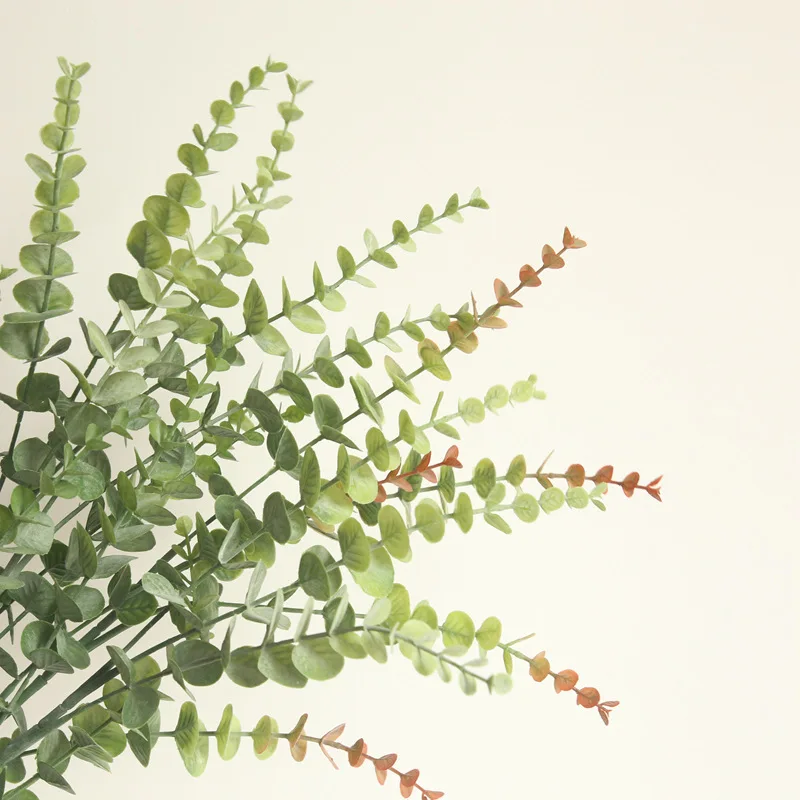 5Pcs/lot 5Fork Plastic Eucalyptus Branch Display Flower Home Wedding Decoration Fake Plants Wall Artificial Bouquet Green Leaves
5Pcs/lot 5Fork Plastic Eucalyptus Branch Display Flower Home Wedding Decoration Fake Plants Wall Artificial Bouquet Green Leaves