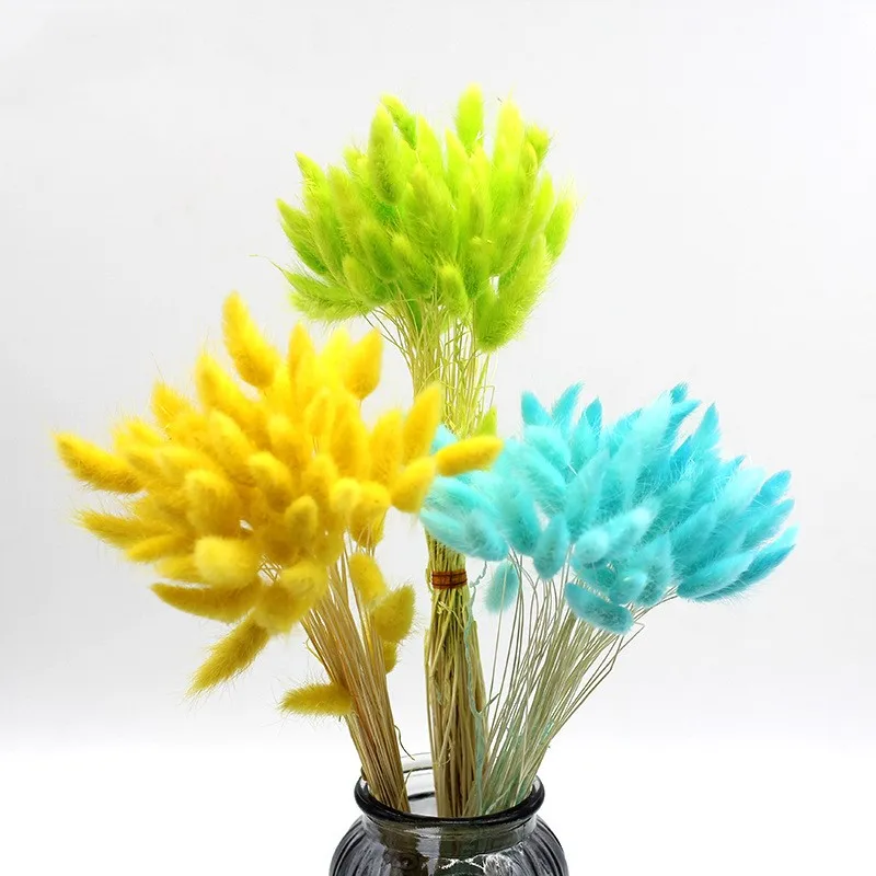 20Pcs Natural Material Rabbit Tail Grass Bunny Dried Flower Bouquet Plant Stems Shooting Props Wedding Home Easter Decoration
20Pcs Natural Material Rabbit Tail Grass Bunny Dried Flower Bouquet Plant Stems Shooting Props Wedding Home Easter Decoration