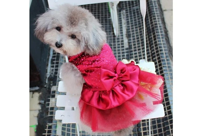Fashion Dog Pet Dress Bow Diamond Decoration silk with mesh Tutu Wedding Party Puppy Party Princess Dress Clothes
Fashion Dog Pet Dress Bow Diamond Decoration silk with mesh Tutu Wedding Party Puppy Party Princess Dress Clothes