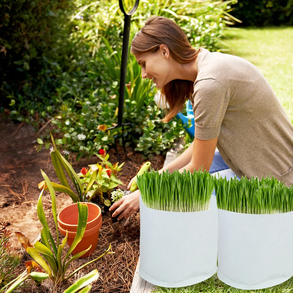 50pcs Non-woven Thickened Planting Bag Plant Planting Container for Garden
50pcs Non-woven Thickened Planting Bag Plant Planting Container for Garden