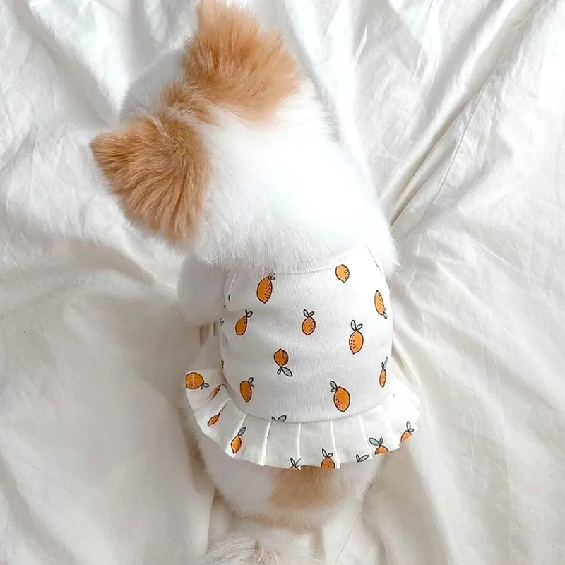 Summer Pet Dog Clothes Cute Dog Vest Yellow Lemon Dog Dress For Puppy Breathable Sling Vest Dog Skirt Chihuahua Yorkshire perro
Summer Pet Dog Clothes Cute Dog Vest Yellow Lemon Dog Dress For Puppy Breathable Sling Vest Dog Skirt Chihuahua Yorkshire perro