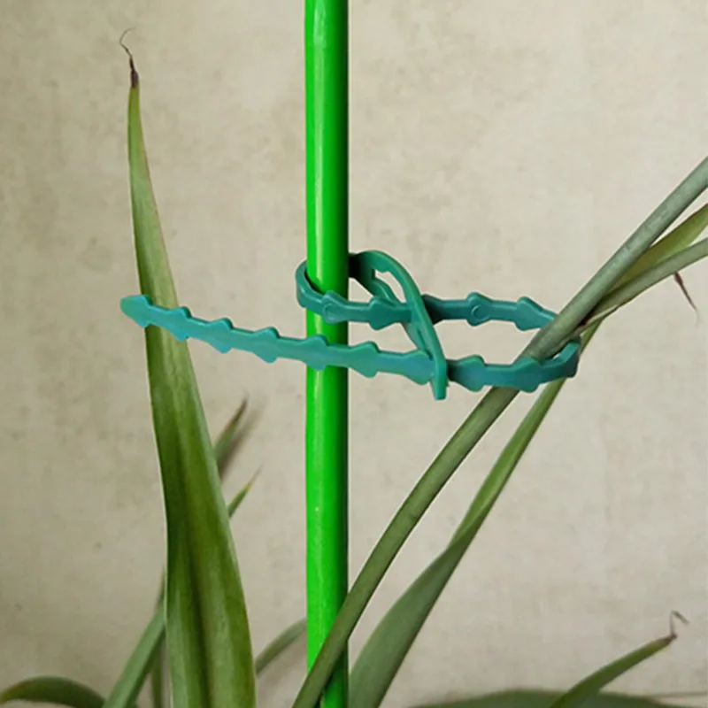 50Pcs Adjustable Garden Plant Twist TiesReusable Garden Plastic Plant Belt Ties Tie Garden Fishbone Band Tools Plant SupportTies
50Pcs Adjustable Garden Plant Twist TiesReusable Garden Plastic Plant Belt Ties Tie Garden Fishbone Band Tools Plant SupportTies