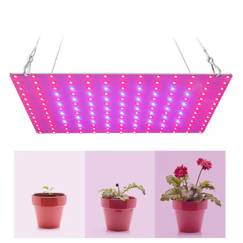 Powerful LED Plant Grow Light Lamp KPhytolamp For Flower 2835 Beads Growth Lighting Full Spectrum Indoor Hydroponics Veg Lights
Powerful LED Plant Grow Light Lamp KPhytolamp For Flower 2835 Beads Growth Lighting Full Spectrum Indoor Hydroponics Veg Lights