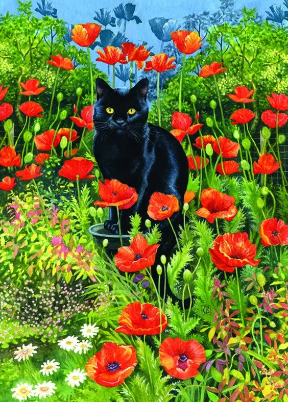 JMINE Div 5D Red Poppy Flower Cat Full Diamond Painting cross stitch kits art High Quality Floral 3D paint by diamonds
JMINE Div 5D Red Poppy Flower Cat Full Diamond Painting cross stitch kits art High Quality Floral 3D paint by diamonds