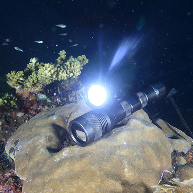 Asafee Div01 Led Scuba Diving Flashlight Xm L2 Underwater Dive Torch Light Lamp Waterproof Diver Scuba Diving Torc
Asafee Div01 Led Scuba Diving Flashlight Xm L2 Underwater Dive Torch Light Lamp Waterproof Diver Scuba Diving Torc