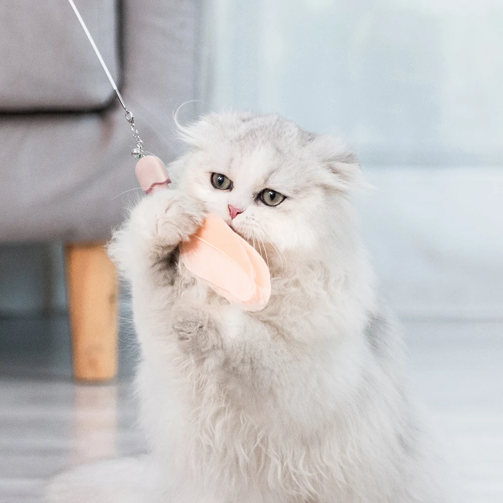 The NewFunny Cat Stick Retractable Feather Chewing Head Self-Hey Long Rod Infrared Laser Interactive Anti-Boring Pet Supplies
The NewFunny Cat Stick Retractable Feather Chewing Head Self-Hey Long Rod Infrared Laser Interactive Anti-Boring Pet Supplies