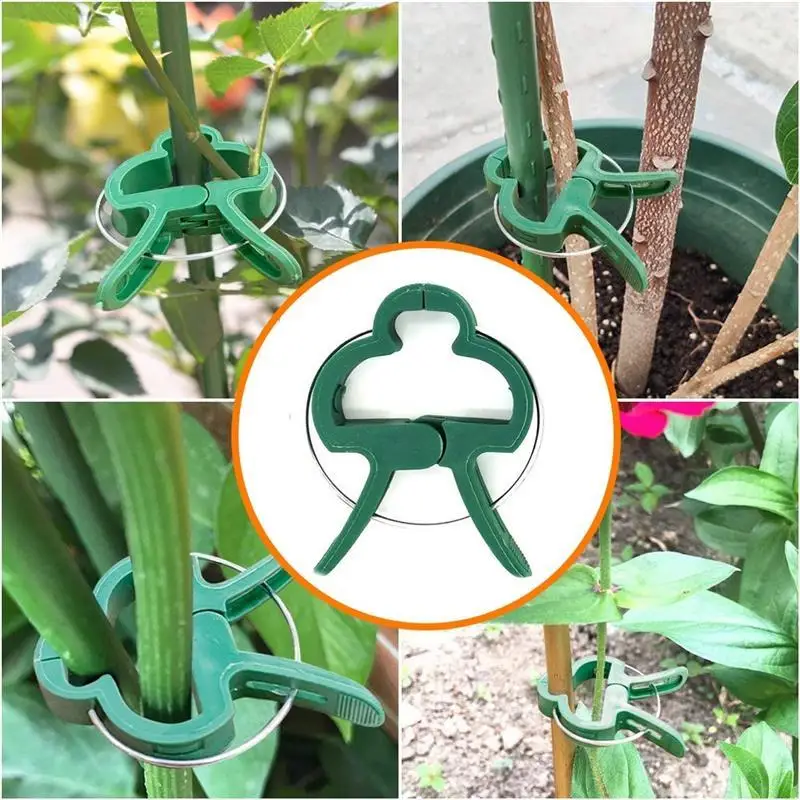 20 PCS Plant Support Clips Reusable Garden Flower Vine Tomato Plant Clips for Supporting Stems Stalks Vines Grow
20 PCS Plant Support Clips Reusable Garden Flower Vine Tomato Plant Clips for Supporting Stems Stalks Vines Grow