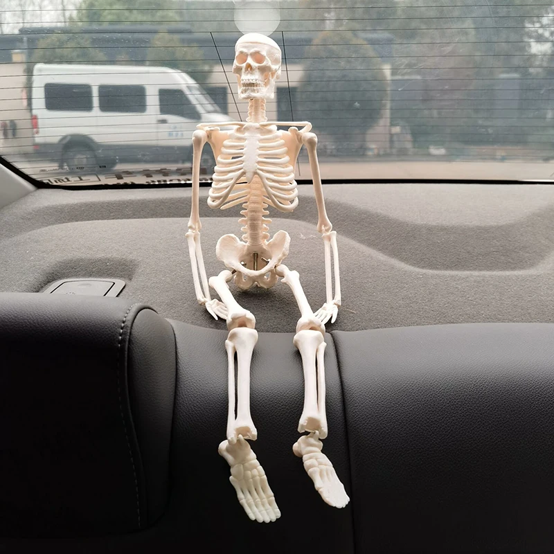 1 Pcs 45cm Human Skeleton Model Car Decoration Pendant Halloween Gift Anatomical Anatomy Skeleton Model Car Styling
1 Pcs 45cm Human Skeleton Model Car Decoration Pendant Halloween Gift Anatomical Anatomy Skeleton Model Car Styling