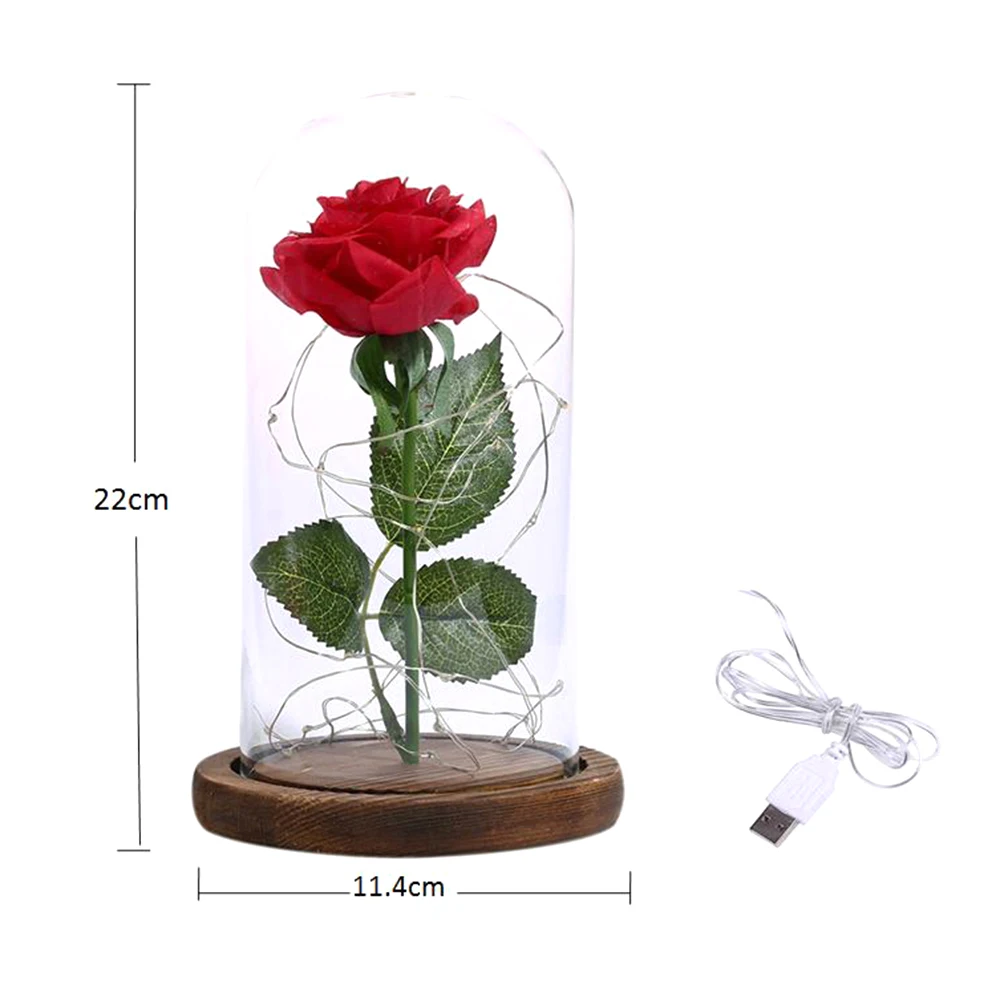 New USB LED Night Light Romantic Simulation Rose Flower with Glass Cover LED Night Light Festival Birthday Romantic Gift
New USB LED Night Light Romantic Simulation Rose Flower with Glass Cover LED Night Light Festival Birthday Romantic Gift