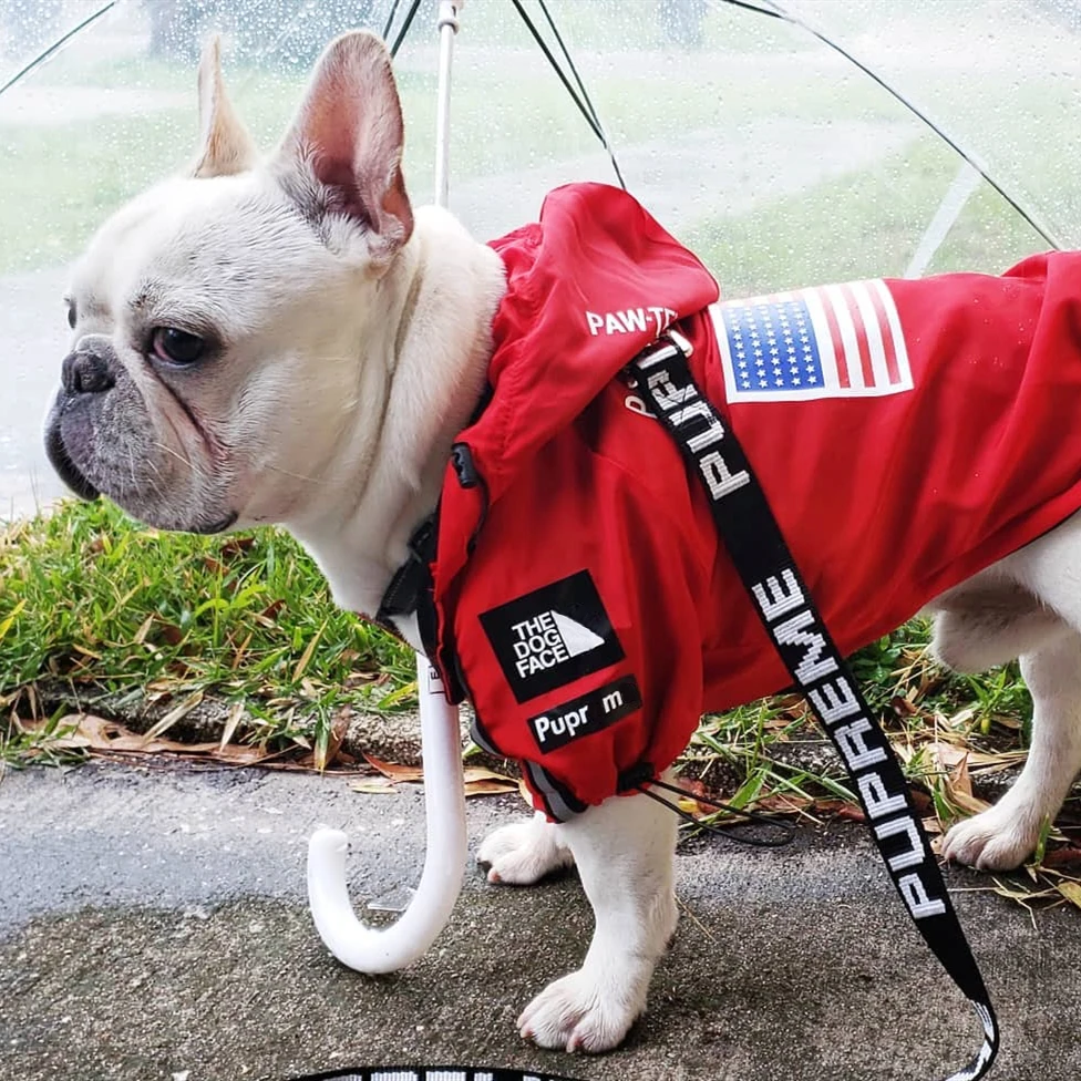 Dog Clothes Adidog French Bulldog Pupreme Shirt Dog Windbreaker Sport Retro Dog Hoodies Pet Clothes Ropa Perro Puppy Dog Pugs
Dog Clothes Adidog French Bulldog Pupreme Shirt Dog Windbreaker Sport Retro Dog Hoodies Pet Clothes Ropa Perro Puppy Dog Pugs