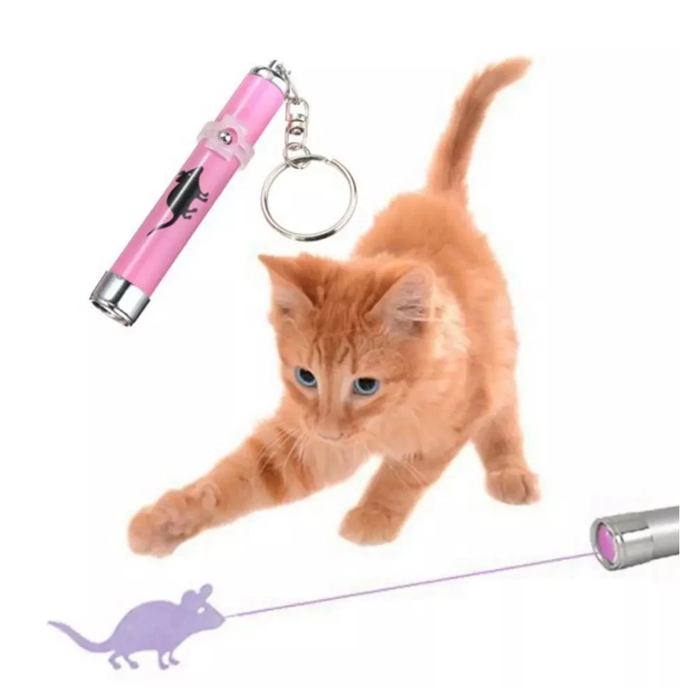 Chinese Supplier Popular Amazingly Cat Toy Creative and Funny Pet LED Pointer light Pen With Bright Animation Mouse
Chinese Supplier Popular Amazingly Cat Toy Creative and Funny Pet LED Pointer light Pen With Bright Animation Mouse