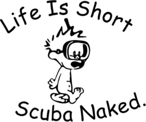 Для Life Is Short подводное плавание Naked Веселая наклейка-трафарет Car Window- 5 дюймов Wide
Для Life Is Short подводное плавание Naked Веселая наклейка-трафарет Car Window- 5 дюймов Wide