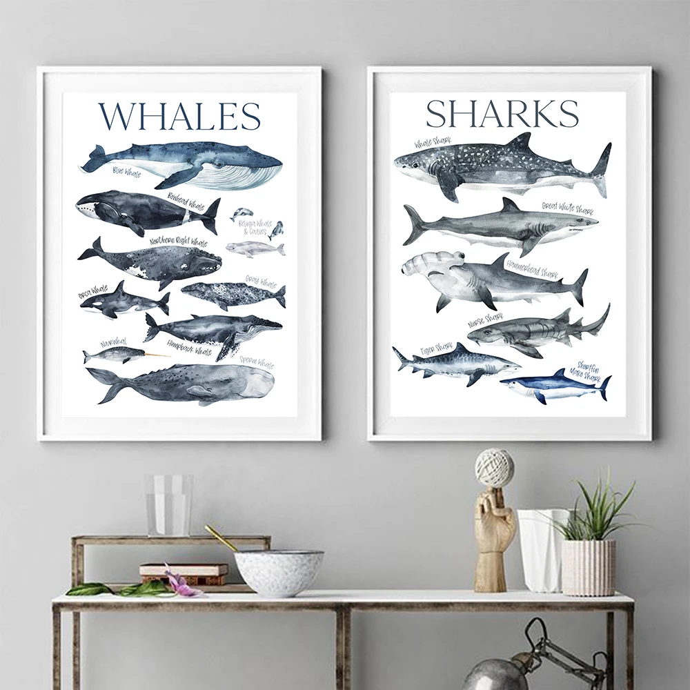 Marine Life Nursery Painting Whale Shark Canvas Poster Animal Art Print Education Wall Picture Nordic Kid Baby Bedroom Decor
Marine Life Nursery Painting Whale Shark Canvas Poster Animal Art Print Education Wall Picture Nordic Kid Baby Bedroom Decor