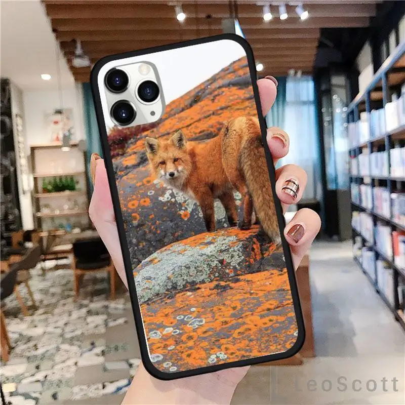 Red fox cute animal LOVELY Phone Case For iphone 8 11 12 Redmi note 8 9 s huawei p 30 pro lite plus cover shell funda
Red fox cute animal LOVELY Phone Case For iphone 8 11 12 Redmi note 8 9 s huawei p 30 pro lite plus cover shell funda