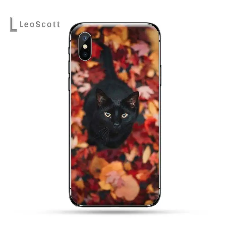 Black Cat Staring Eye cute animal luxury Phone Case funda for iPhone 11 12 pro XS MAX 8 7 6 6S Plus X 5S SE 2020 XR
Black Cat Staring Eye cute animal luxury Phone Case funda for iPhone 11 12 pro XS MAX 8 7 6 6S Plus X 5S SE 2020 XR