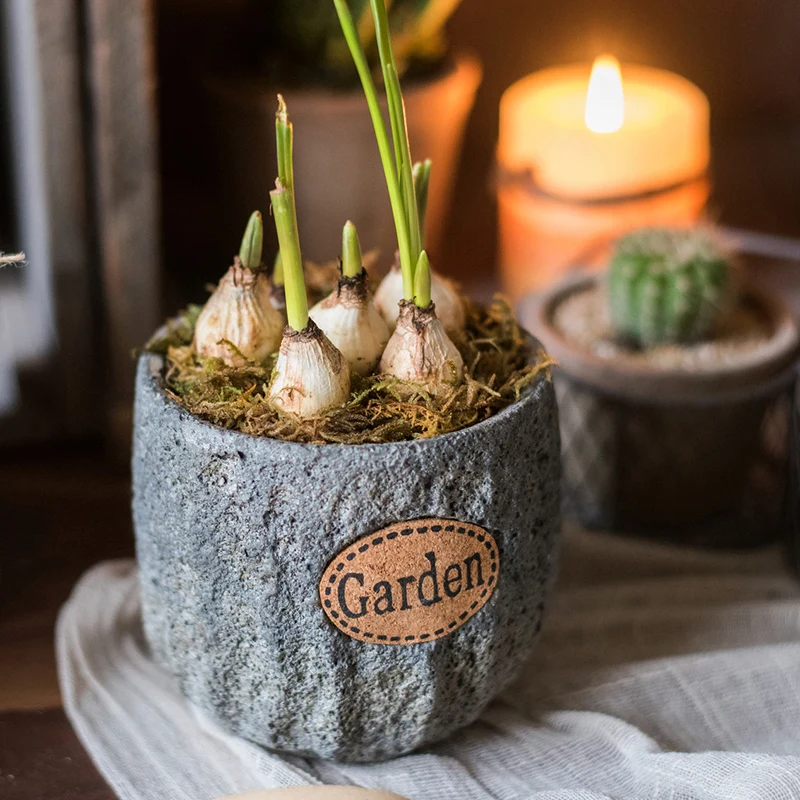 Nordic Cement Vertical Flower Pot Outdoor Farmhouse Balcony Cactus Plant Table Succulent Bonsai Doniczka Garden Accessories E5
Nordic Cement Vertical Flower Pot Outdoor Farmhouse Balcony Cactus Plant Table Succulent Bonsai Doniczka Garden Accessories E5