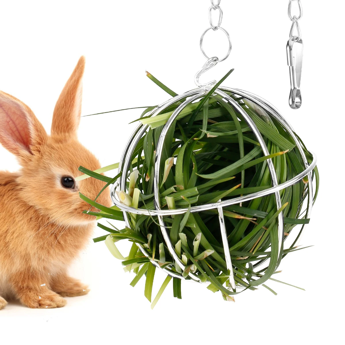 Hay Feeder Ball Stainless Steel Grass Feeder Ball Rabbit Pet Hay Ball with Chain Hanging Feeder Ball Toy for Rabbits Guinea Pig
Hay Feeder Ball Stainless Steel Grass Feeder Ball Rabbit Pet Hay Ball with Chain Hanging Feeder Ball Toy for Rabbits Guinea Pig