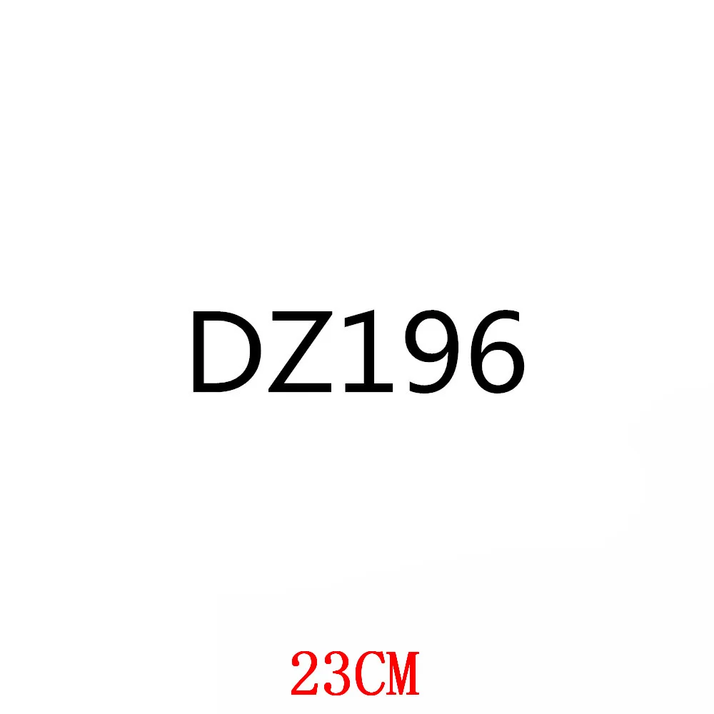 DZ196-23