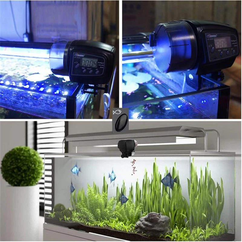 Automatic 65mL Aquarium Fish Feeder For Aquarium Fish Tank Auto Feeders With Timer Pet Feeding Dispenser LCD Display Fish Feeder
Automatic 65mL Aquarium Fish Feeder For Aquarium Fish Tank Auto Feeders With Timer Pet Feeding Dispenser LCD Display Fish Feeder