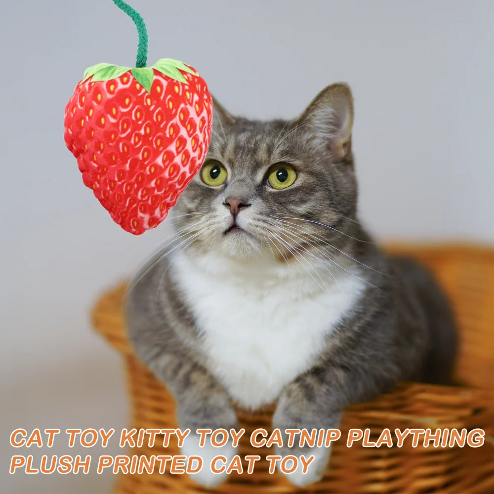 12pcs Cat Kitten Interactive Cat Catnip Toys Cat Chew Pet Sound 
12pcs Cat Kitten Interactive Cat Catnip Toys Cat Chew Pet Sound