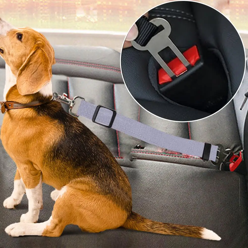 Dog Cat Car Safety Belt Adjustable Pet Seat Vehicle Seat Belt Pet Leas Dog Magic Clip Pet Supplies Safe Lever Traction Collar
Dog Cat Car Safety Belt Adjustable Pet Seat Vehicle Seat Belt Pet Leas Dog Magic Clip Pet Supplies Safe Lever Traction Collar