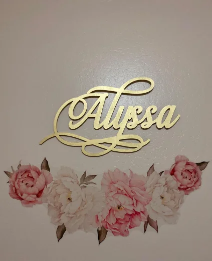 Personalized Large Size Wood Name Sign Options Custom Baby Name Sign for Nursery Décor
Personalized Large Size Wood Name Sign Options Custom Baby Name Sign for Nursery Décor