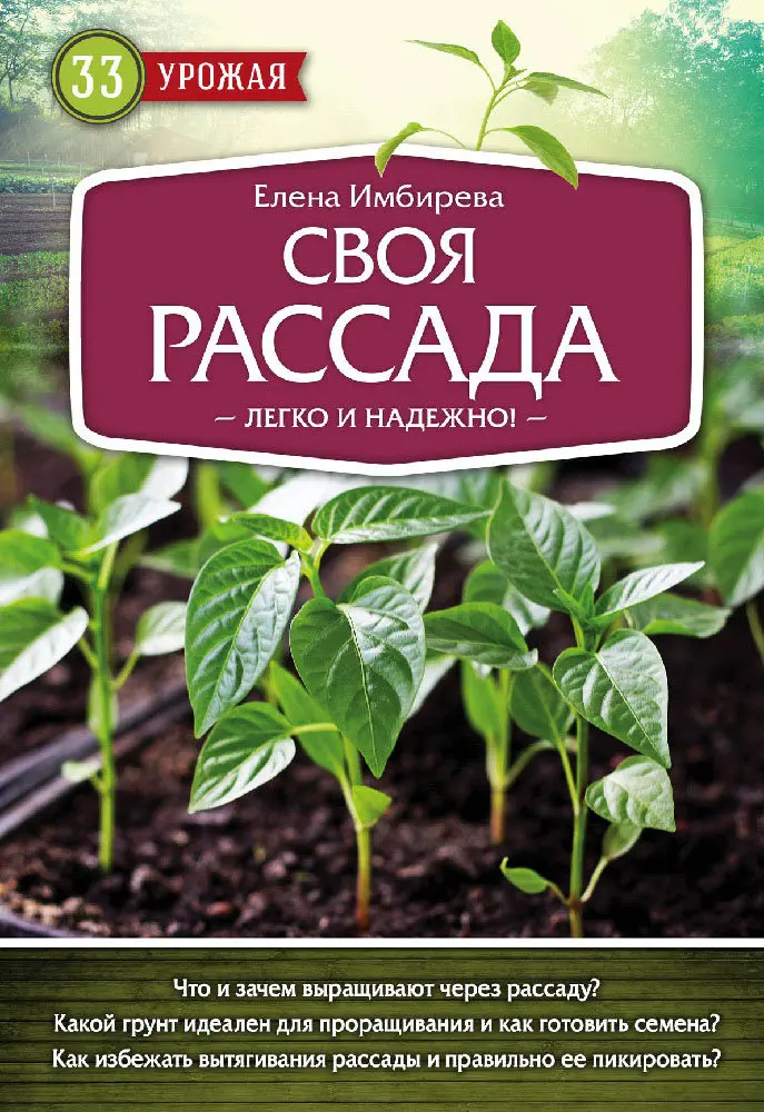 Магазины Рассады В Новосибирске