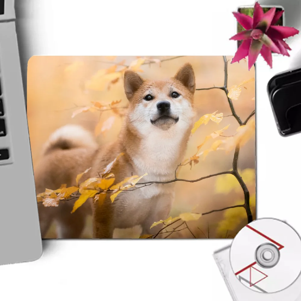 Shiba Inu Cute Dog Gaming Mouse Pad PC Mousepad Game Pad Cartoon Rubber Mouse Pad Office Keyboard Pad
Shiba Inu Cute Dog Gaming Mouse Pad PC Mousepad Game Pad Cartoon Rubber Mouse Pad Office Keyboard Pad