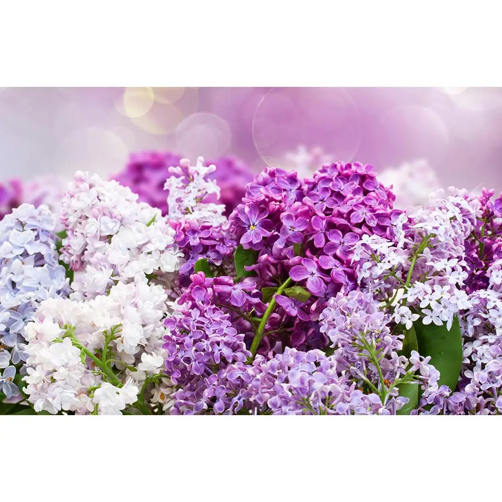 ZHISUXI Vinyl Photography Backdrops Flower and Wooden Planks Theme Photography Background 200309HK-013
ZHISUXI Vinyl Photography Backdrops Flower and Wooden Planks Theme Photography Background 200309HK-013