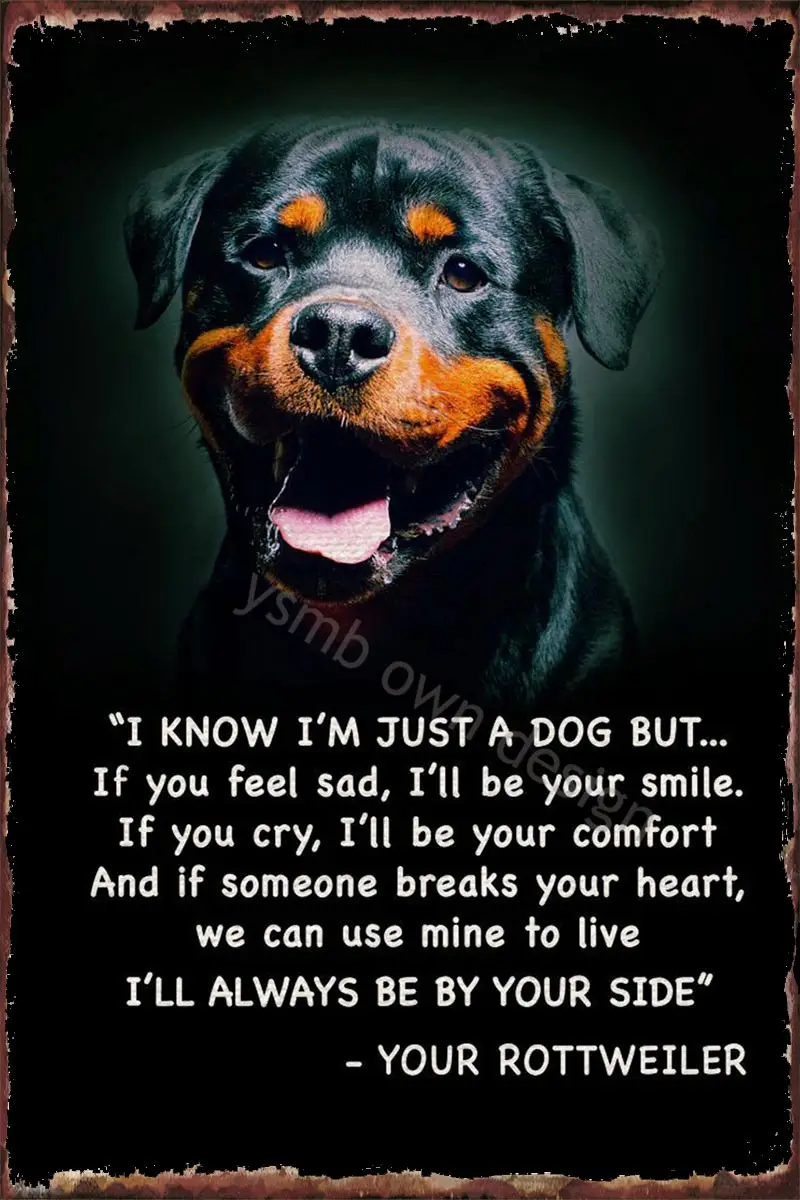 Rottweiler Art Tin Plates Wall Decor Room Decoration Retro Vintage Metal Sign Tin Sign For Art Pub Home Club Man Cave Cafe
Rottweiler Art Tin Plates Wall Decor Room Decoration Retro Vintage Metal Sign Tin Sign For Art Pub Home Club Man Cave Cafe