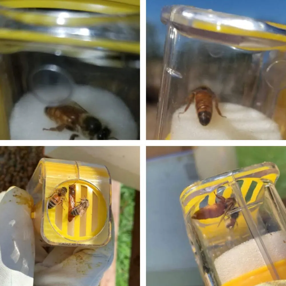 Queen Bee Marker Bottle Queen Bee Catcher Cage Plunger Plastic One Handed Beekeeping Garden Supplies Tool Yellow
Queen Bee Marker Bottle Queen Bee Catcher Cage Plunger Plastic One Handed Beekeeping Garden Supplies Tool Yellow