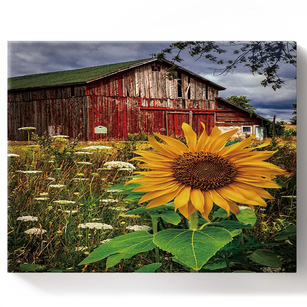 Картина в рамке сделай сам по номерам Подсолнух цветок ферма деревенская