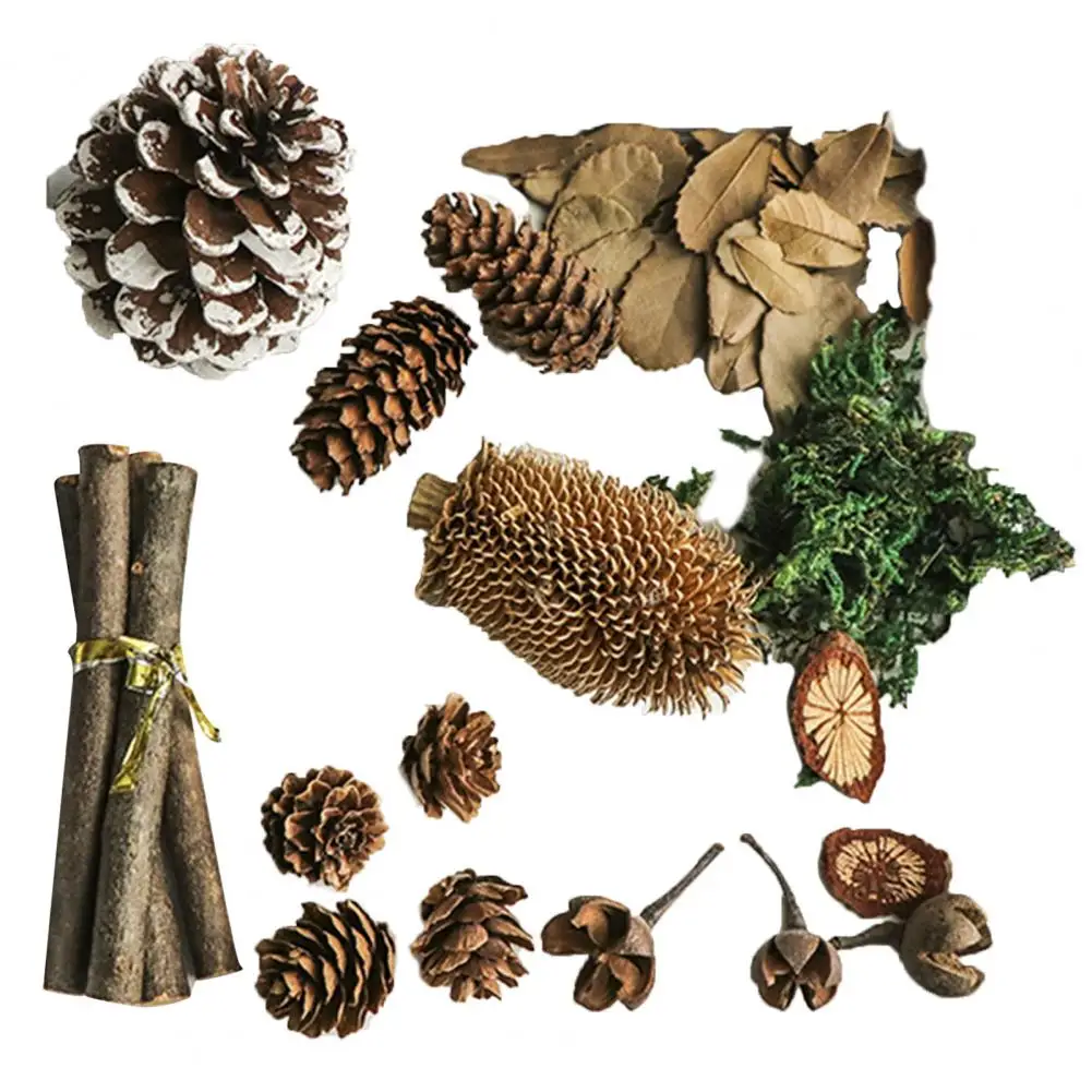 14Pcs/Set Pine Cones Props Eco-friendly Burr Free Wood Photography Props Supply Wood Chips Kit Home Desktop Plant Decoration
14Pcs/Set Pine Cones Props Eco-friendly Burr Free Wood Photography Props Supply Wood Chips Kit Home Desktop Plant Decoration