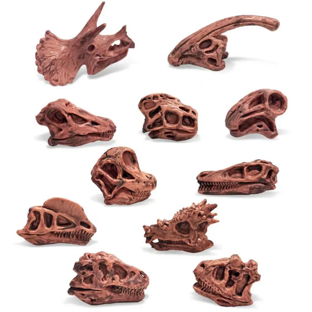 Dinosaur Skull High Simulation Aquarium Decor Plastic Fossil Teaching Skeleton Model for Collectors
Dinosaur Skull High Simulation Aquarium Decor Plastic Fossil Teaching Skeleton Model for Collectors