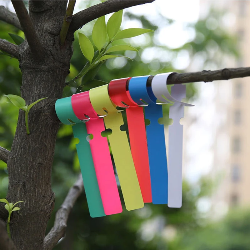 100pcs/set Waterproof Plant Markers Plastic Plant Hanging Tags Gardening Plant Marker Label Tools Garden Pots & Planters Supply
100pcs/set Waterproof Plant Markers Plastic Plant Hanging Tags Gardening Plant Marker Label Tools Garden Pots & Planters Supply